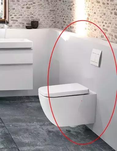 壁挂马桶和墙排马桶哪个好,墙排马桶与地排马桶效果图