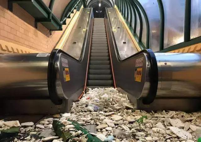 山竹扔垃圾桶,山竹扔垃圾桶里