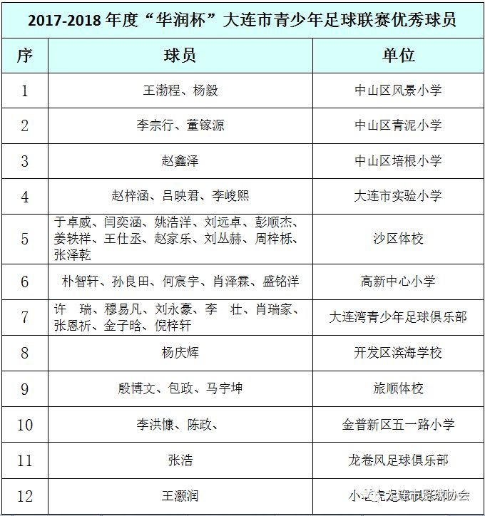 大连市足球竞赛,大连青少年足球再获大力支持