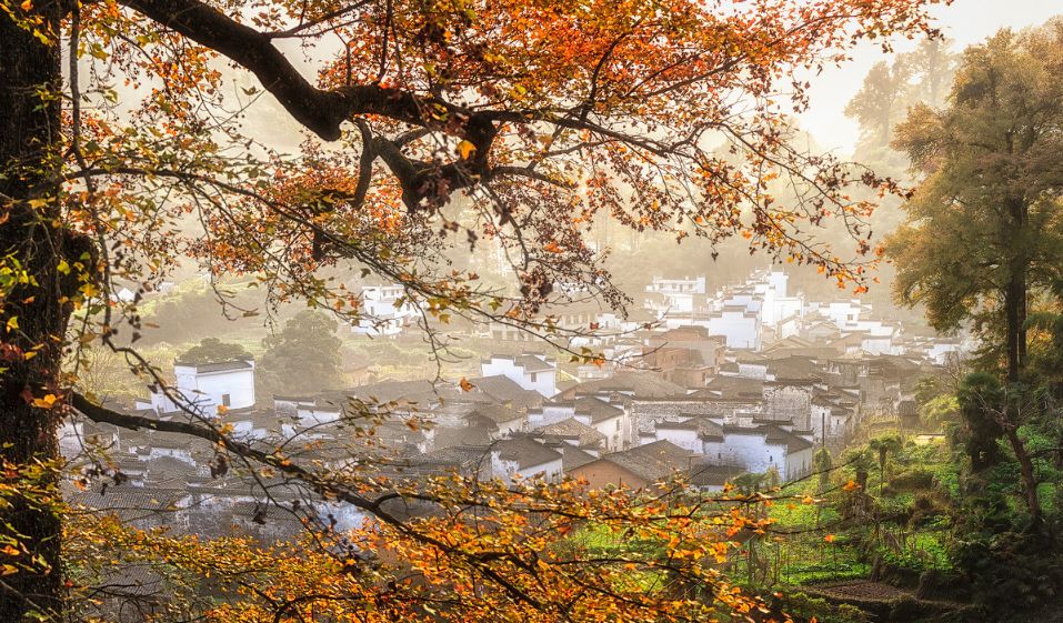 婺源10月,10-11月的婺源