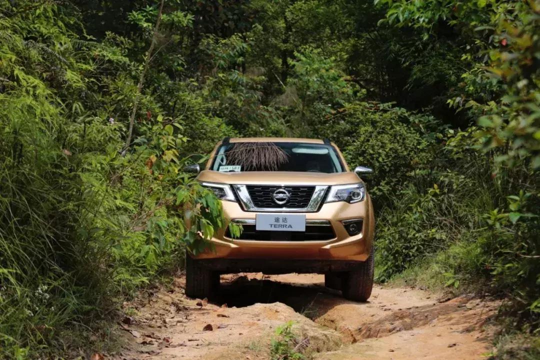 这5款suv硬汉最爱兼顾家用和越野,20万最强四驱suv丰田小霸道