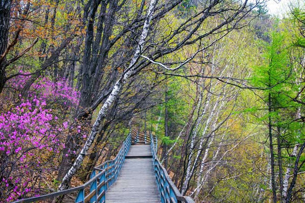北京密云免费游玩有山有水的地方,密云夏季景区门票优惠政策