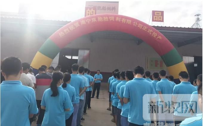 南宁双胞胎饲料有限公司待遇,南宁双胞胎饲料集团在哪里