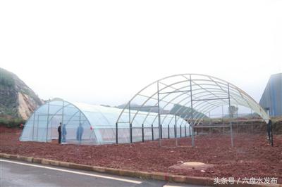 你好，我叫玄武岩！