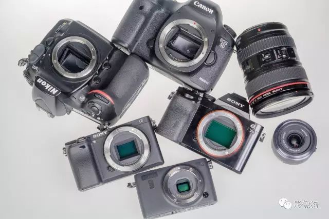 佳能尼康索尼哪个相机质量最好,佳能尼康索尼出图效果