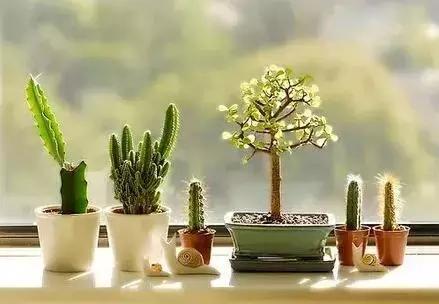 脾气一点就爆一戳就破,脾气一点就爆一会就好了