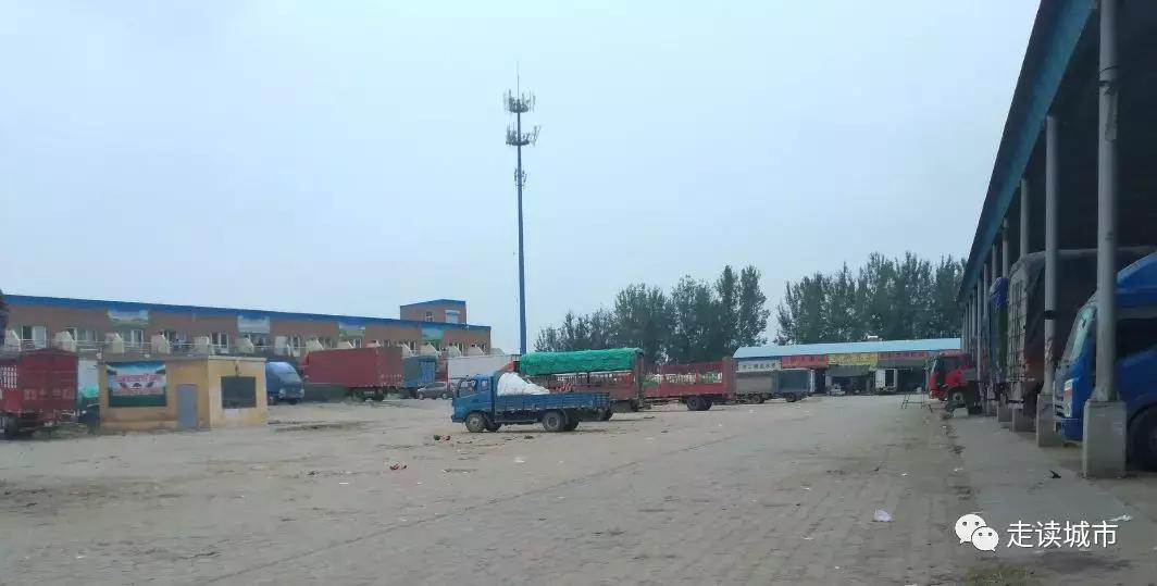 容城县容城镇容城小学,容城镇和容城大道有什么区别