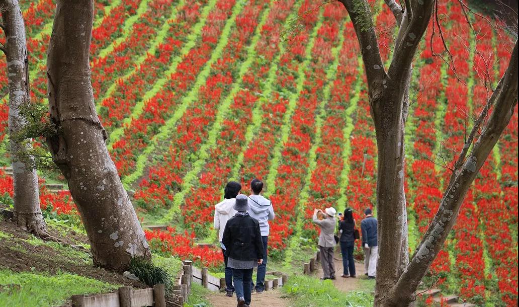 亲子牧场推荐,亲子牧场有哪些