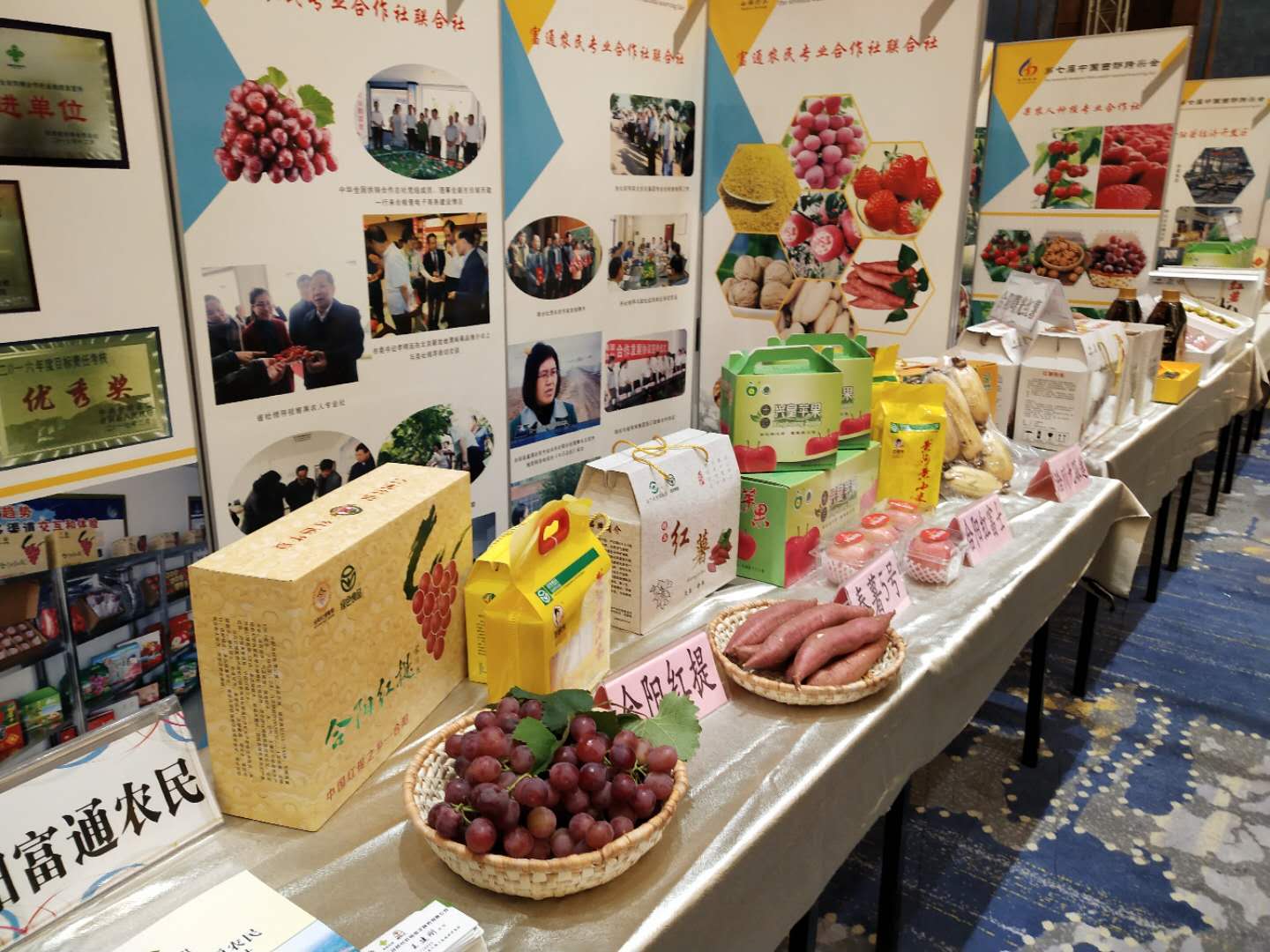 合阳县农产品展示,合水县特色农产品展销会