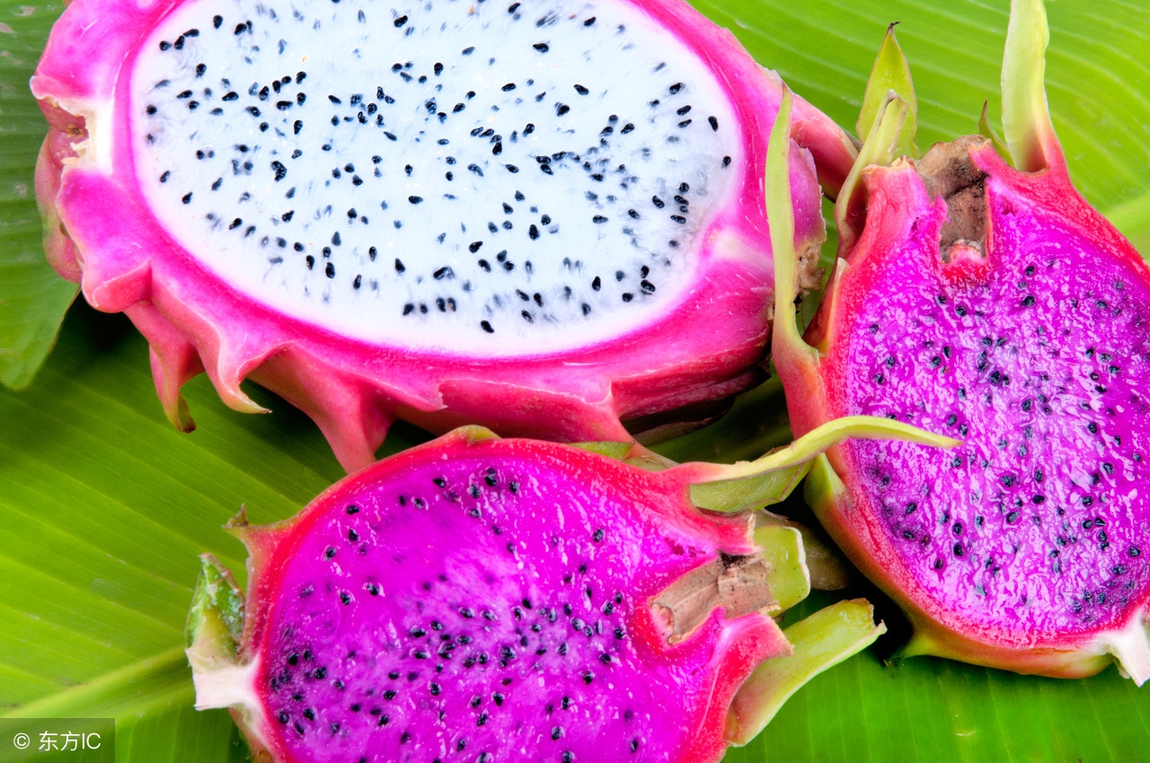 11个月宝宝吃的辅食教程全过程,11个月宝宝辅食和奶一天怎么安排