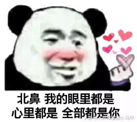 旗舰店买的mac一定是真的吗,二十几的mac真的假的