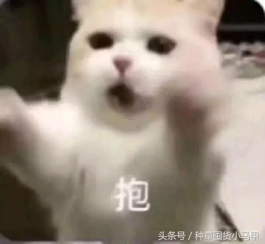 旗舰店买的mac一定是真的吗,二十几的mac真的假的