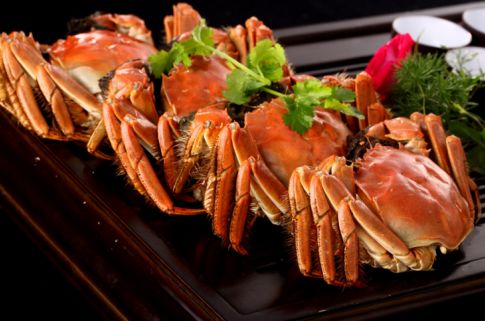 正宗阳澄湖大闸蟹正式开捕啦,2018年阳澄湖大闸蟹开捕