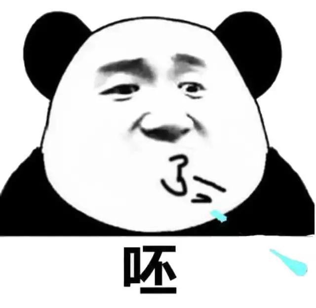 进口跨境猫狗粮,进口宠物零食渠道