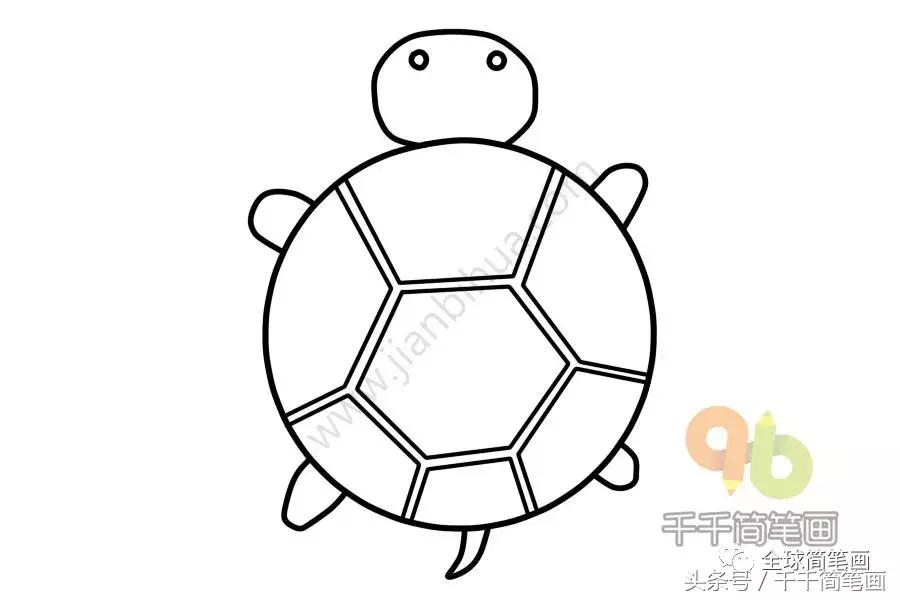 画画教学简笔画圆形的动物,圆形动物小乌龟简笔画