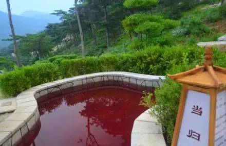 山东温泉必打卡,山东十大温泉