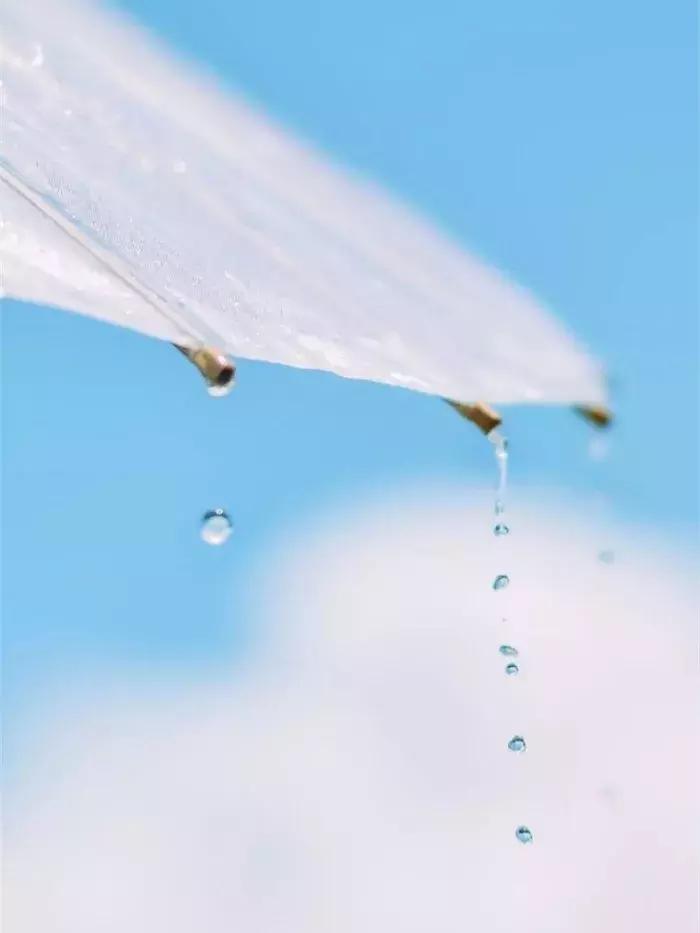 秋，总是多雨，凉风习习，雨落成诗，一起来欣赏吧