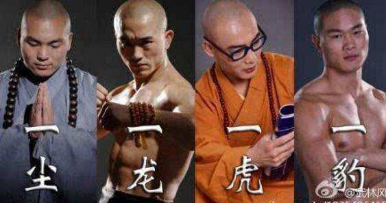 武僧一豹打过几场比赛呢,武僧一豹被ko