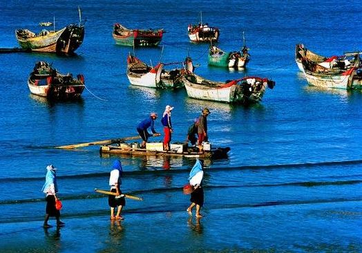 重磅！福清上榜全省经济实力十强！