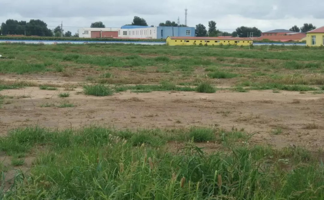 通州人顶起来!帮内蒙孩子上一堂正规的体育课!