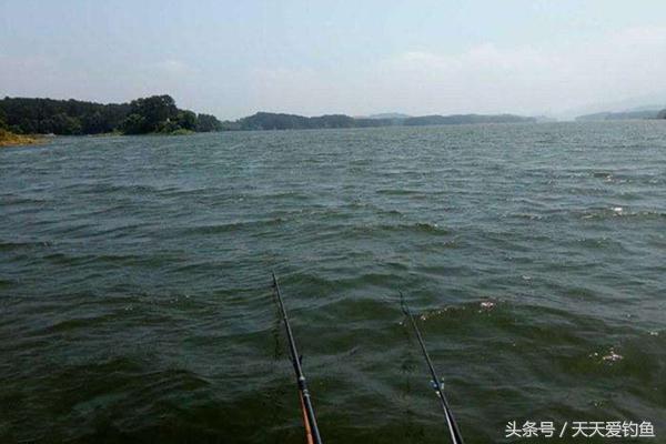 秋季大风天怎么钓鱼,大风天钓鱼如何应对