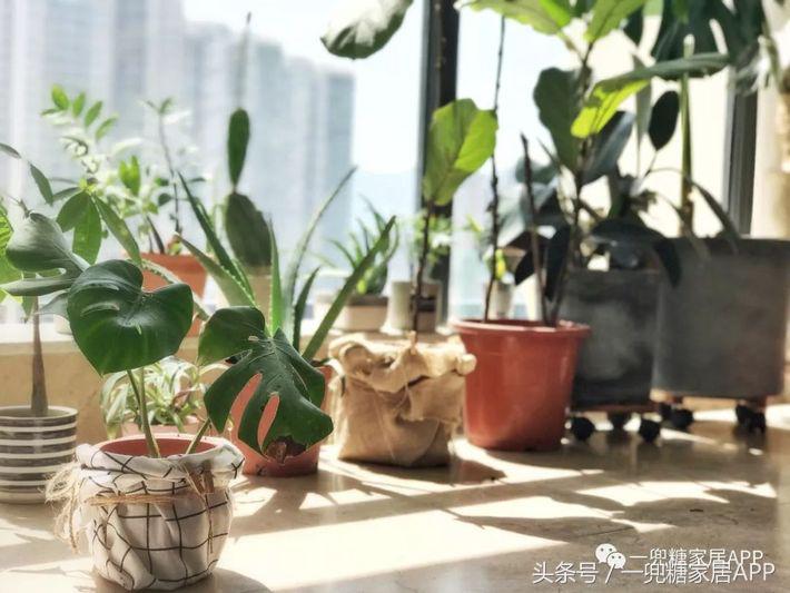 她家家居旗舰店,她家家具性价比超高