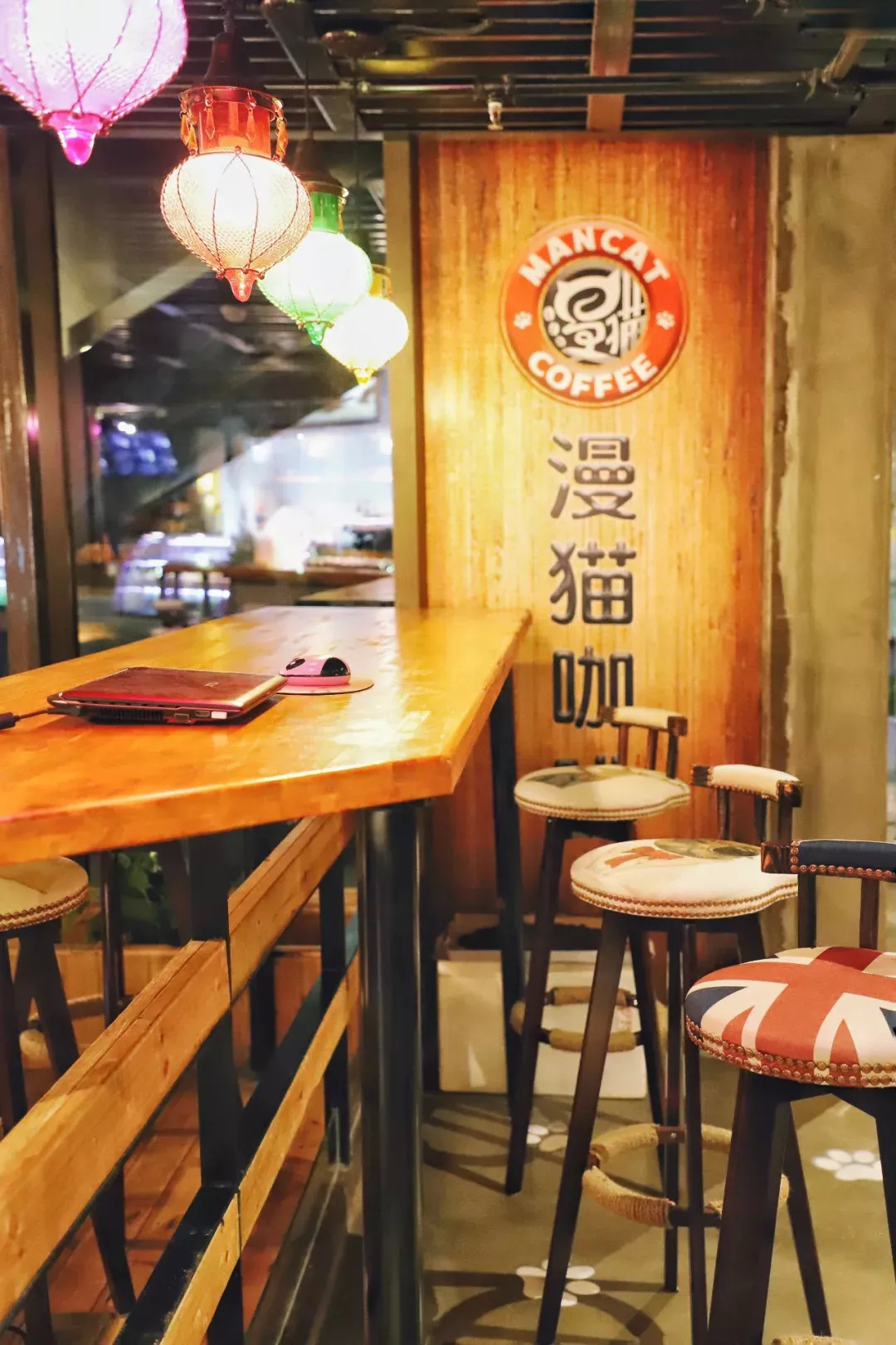 在漫猫喝咖啡，那种无忧的心情，仿佛随着维也纳音符飘到云间……