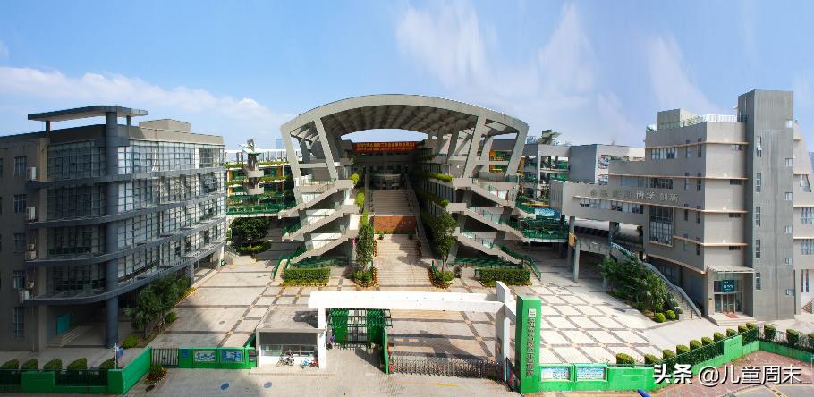 深圳龙岗十大民办小学排名,深圳南山区十大公立小学