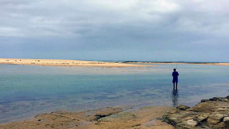 拉丝粉长短丝的区别,拉丝粉长短丝混合使用