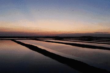 开海特别新鲜的海鲜有哪些,开海了有什么应季海鲜