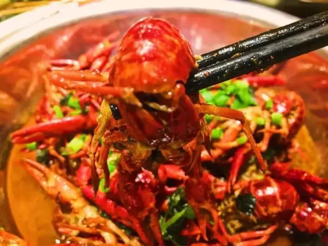 认真长胖，这里是一份精心测评的早秋贴膘报告