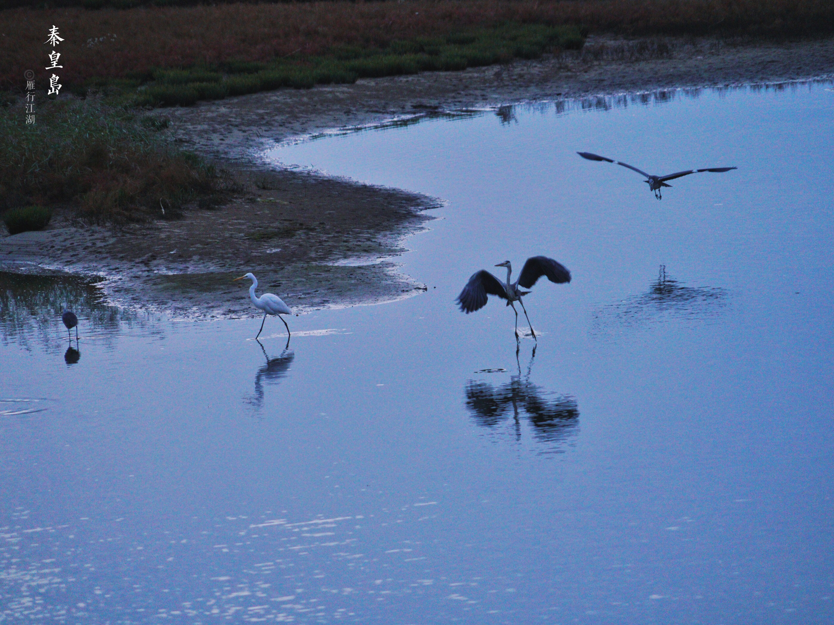 秦皇岛最佳观日出地点,秦皇岛市区日出最佳观赏地