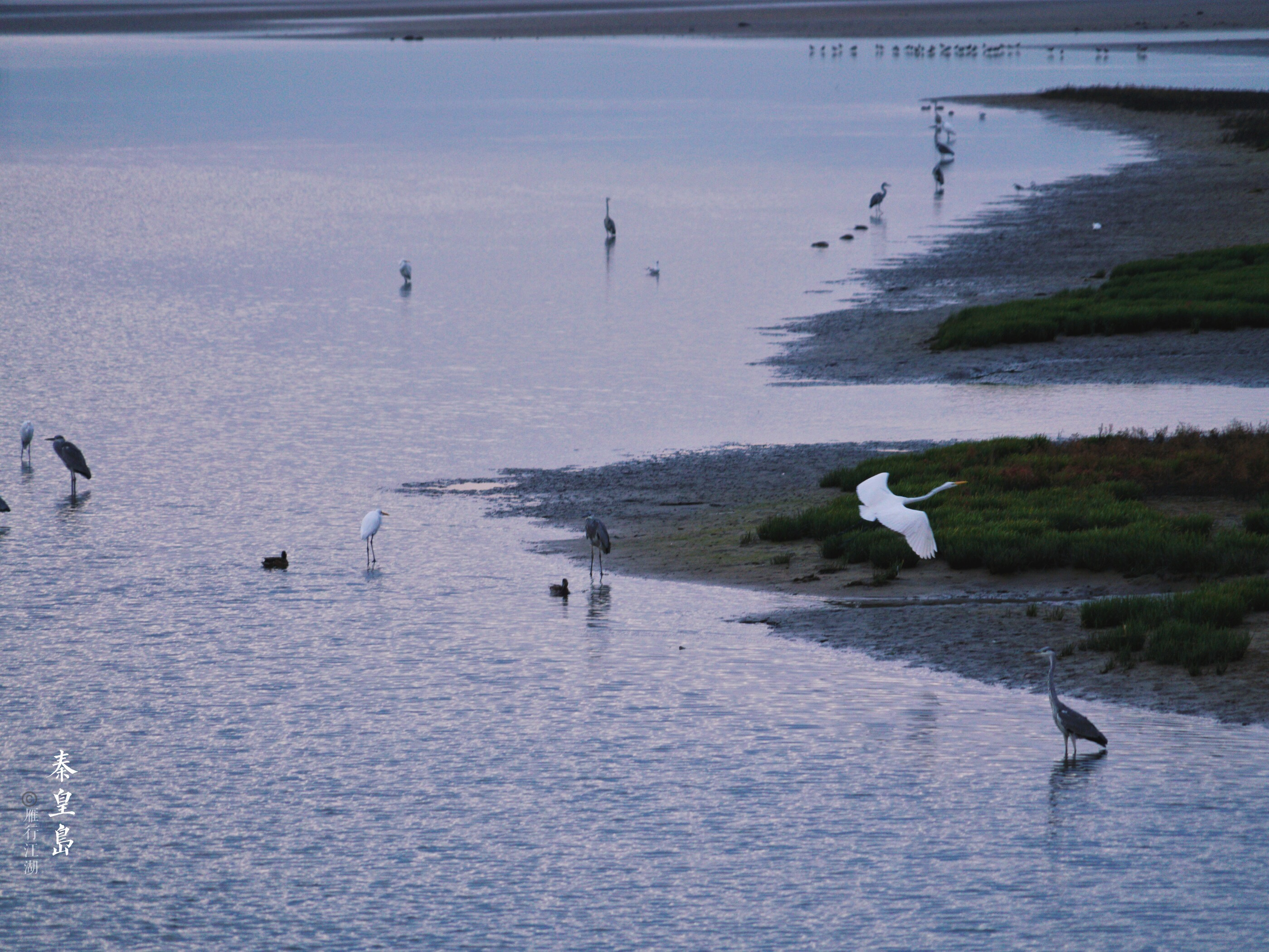 秦皇岛最佳观日出地点,秦皇岛市区日出最佳观赏地