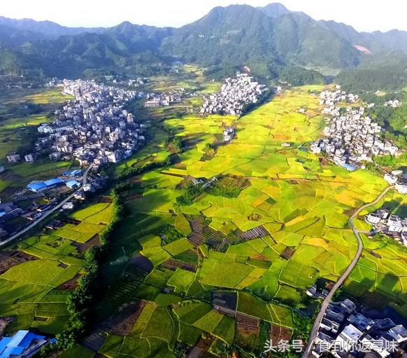 家的味道全家团圆满满的幸福,家的味道一家人在一起才叫幸福