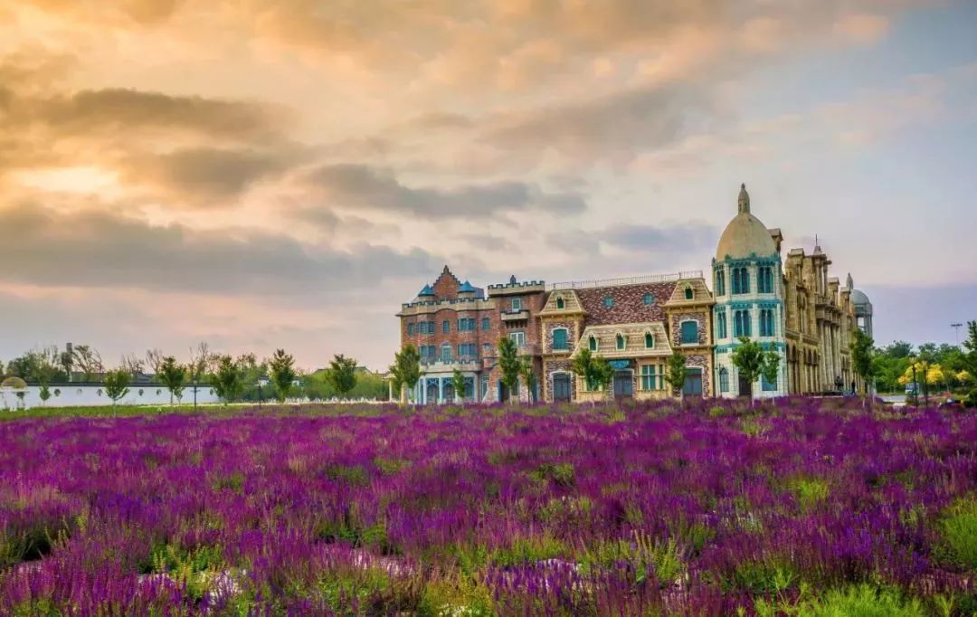 等有钱了回农村安逸生活,等有钱了真的不想打工了太累了