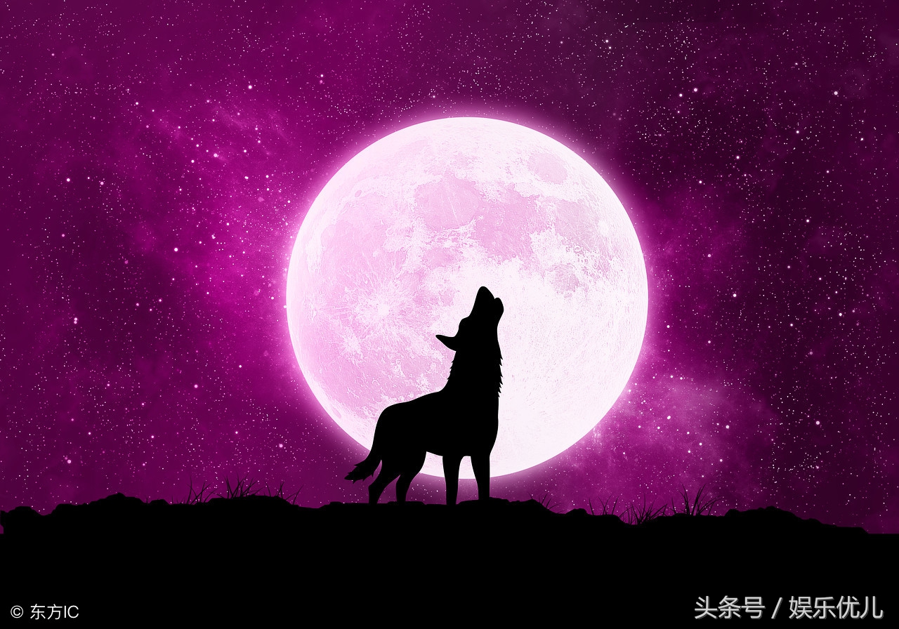 月亮的优美句子摘抄,月亮的好词好句好段摘抄大全