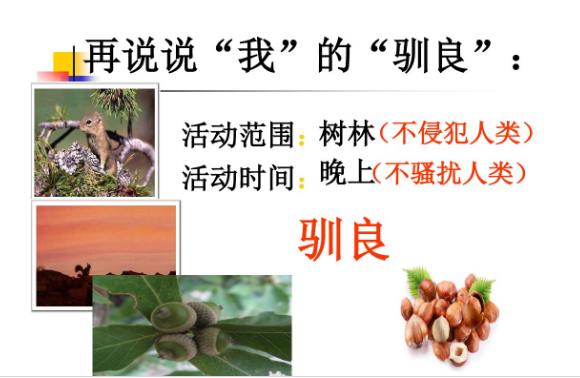 五年级作文能力如何提高？教你如何借鉴课文提高写作水平