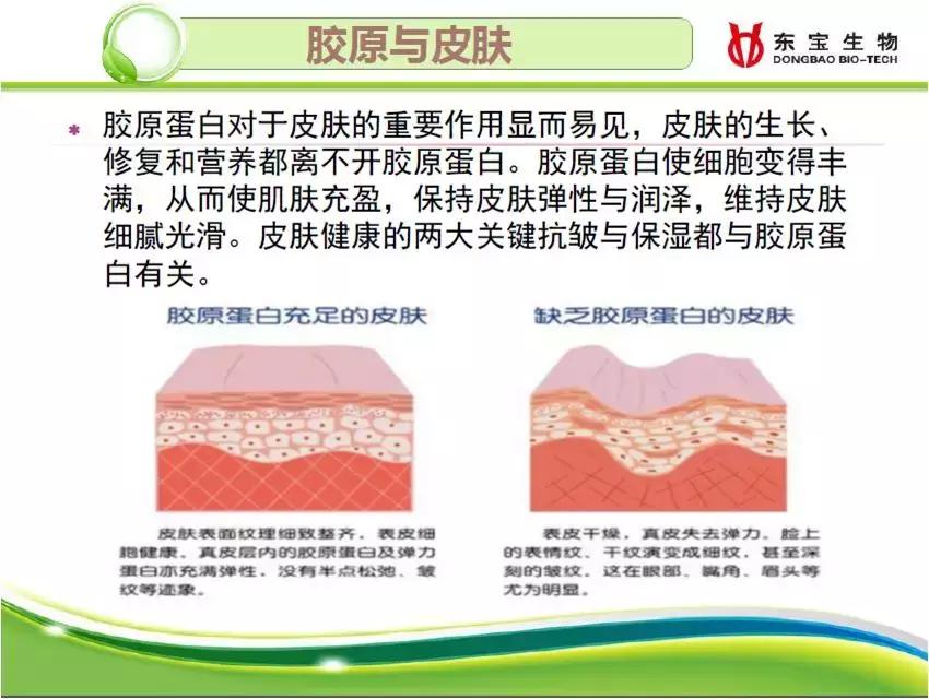 史上最大福利｜元素骨肽来喽，还买二送一，还送油哦~