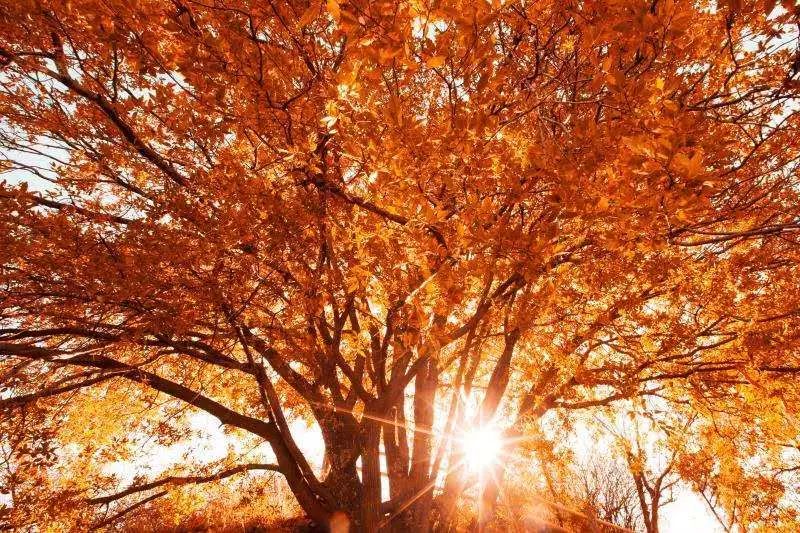 游玩七彩丹霞地貌发朋友圈,华州少华山旅游视频