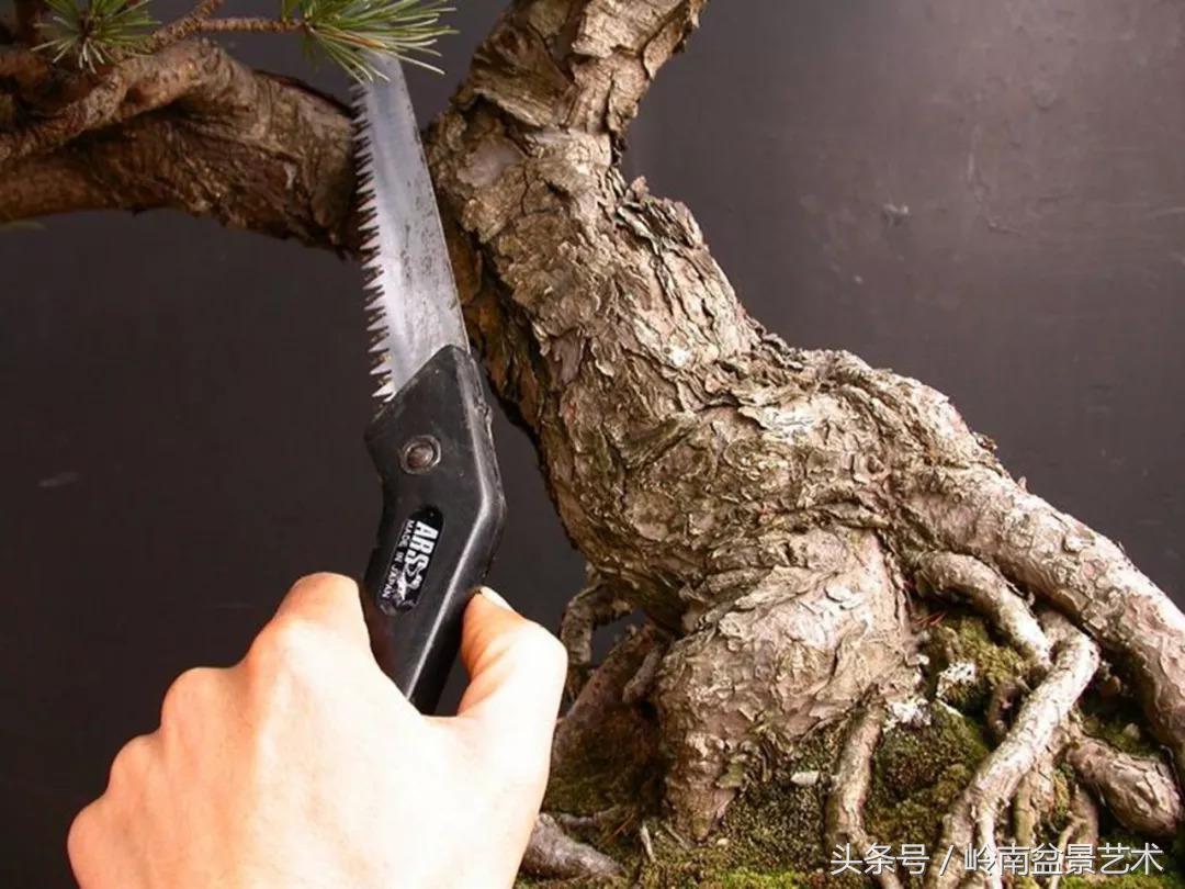 神来之笔绘画作品欣赏,神来之笔书法作品大全