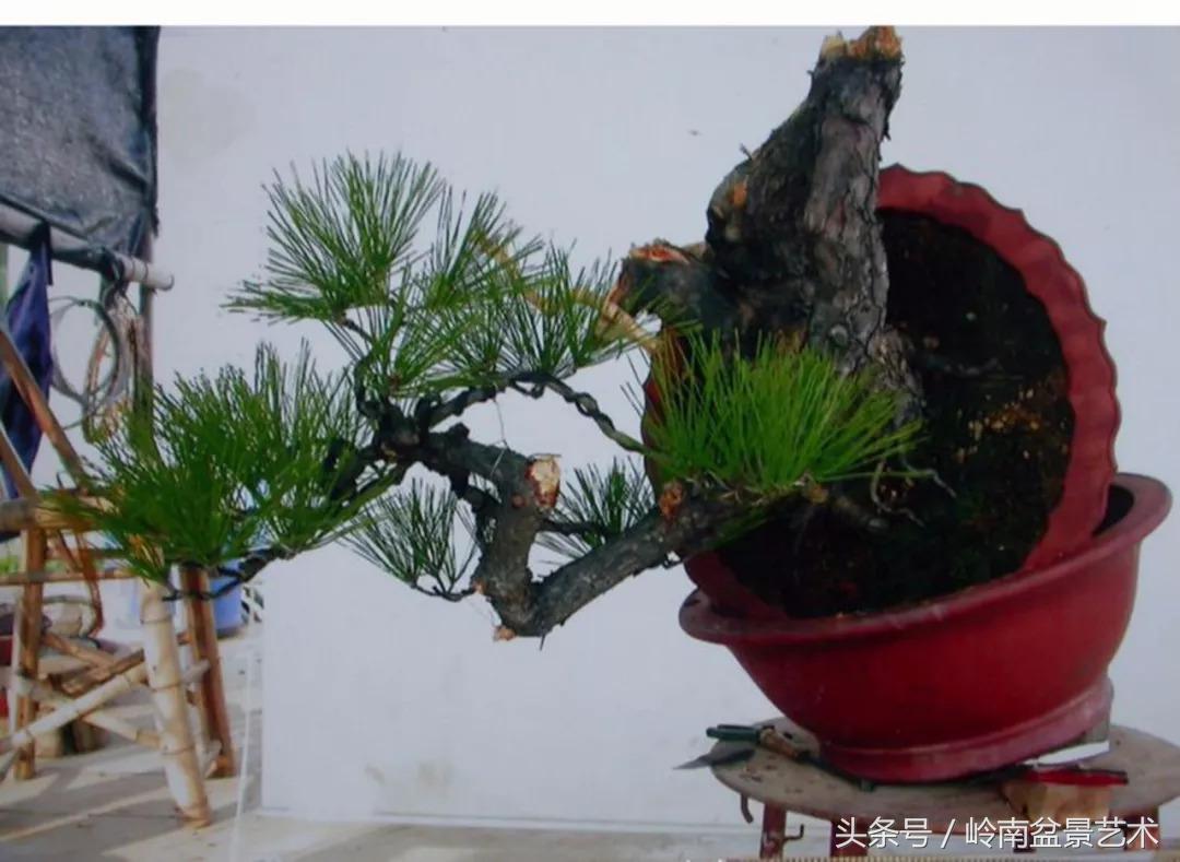 神来之笔绘画作品欣赏,神来之笔书法作品大全