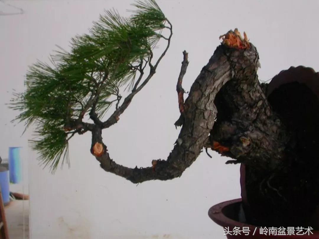 神来之笔绘画作品欣赏,神来之笔书法作品大全