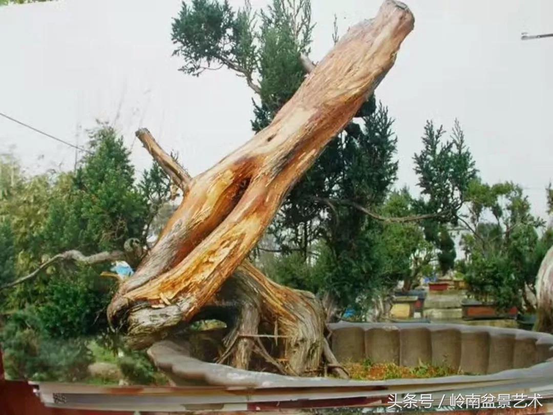 神来之笔绘画作品欣赏,神来之笔书法作品大全