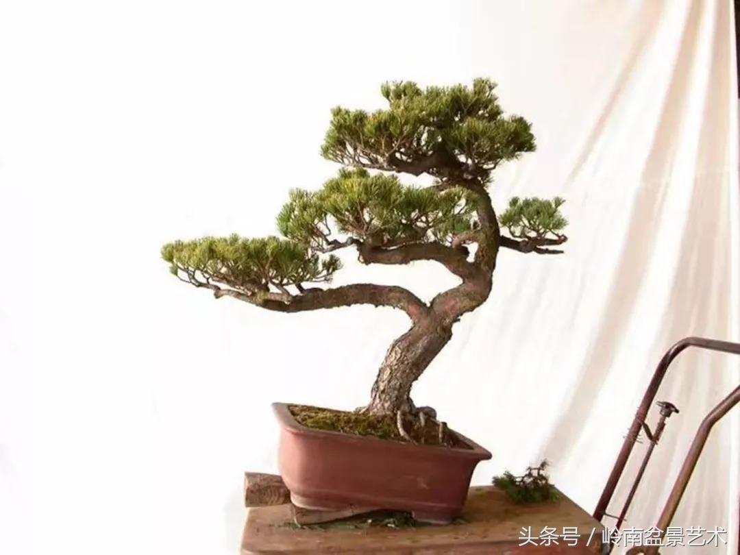 神来之笔绘画作品欣赏,神来之笔书法作品大全