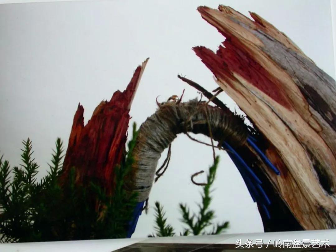 神来之笔绘画作品欣赏,神来之笔书法作品大全