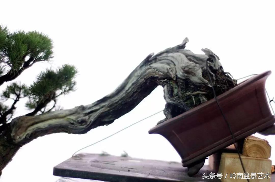 神来之笔绘画作品欣赏,神来之笔书法作品大全