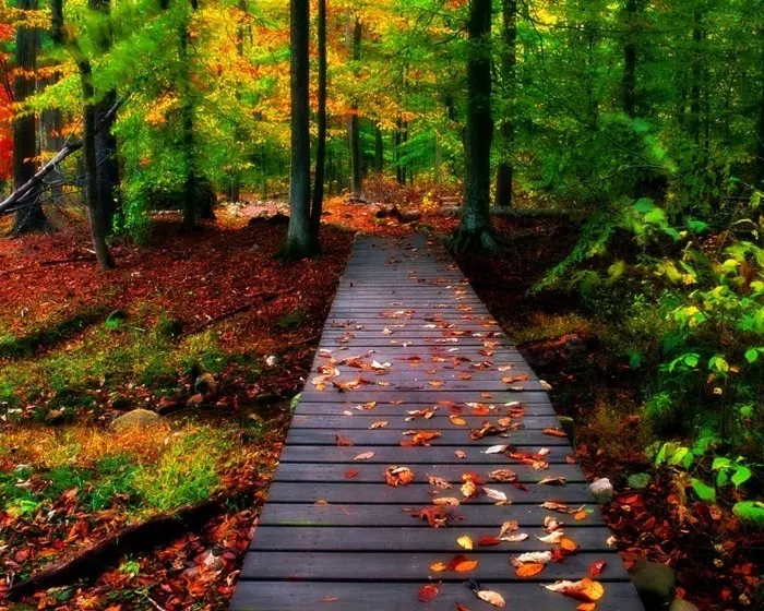 得力意义,得力于和得益于的区别