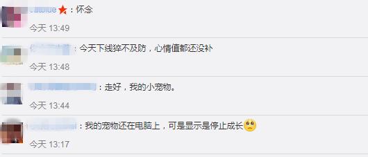 QQ宠物下线了，当年的你是悉心照料还是想掐死企鹅？