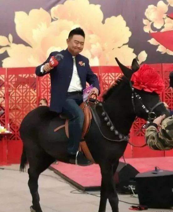 丰收节现场直播报道,丰收节央视新闻直播间