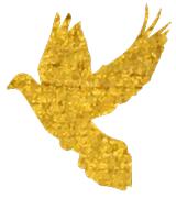 喜迎宁夏回族自治区成立六十周年,银川市喜迎60大庆文化季